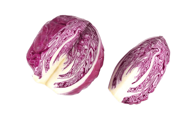 Purple cabbage