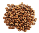 Robusta