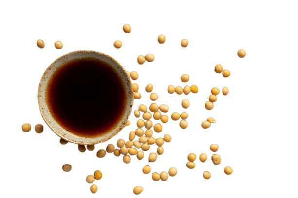 Soybean Sauce