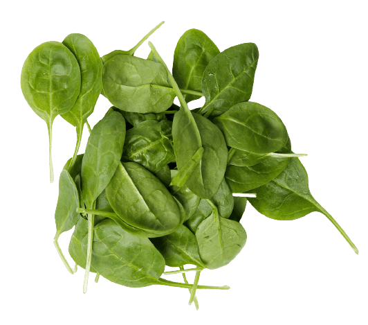 Spinach