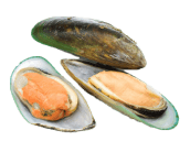 Frozen Half Shell