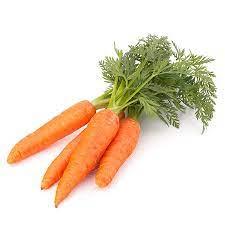Carrot