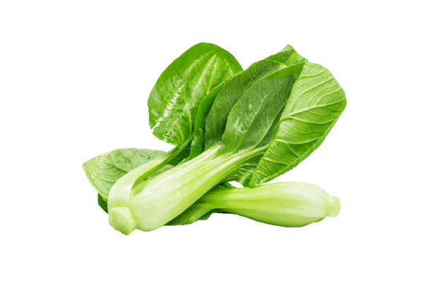 Cabbage