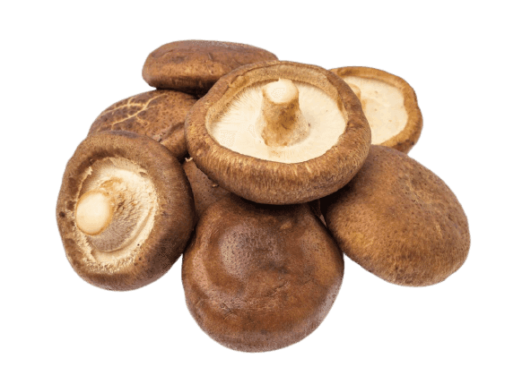 Brown mushroom