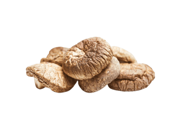 Dry mushrooms