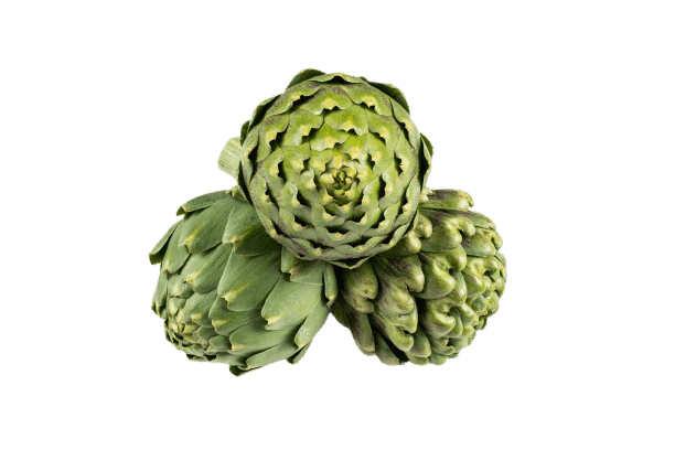 atiso1.png