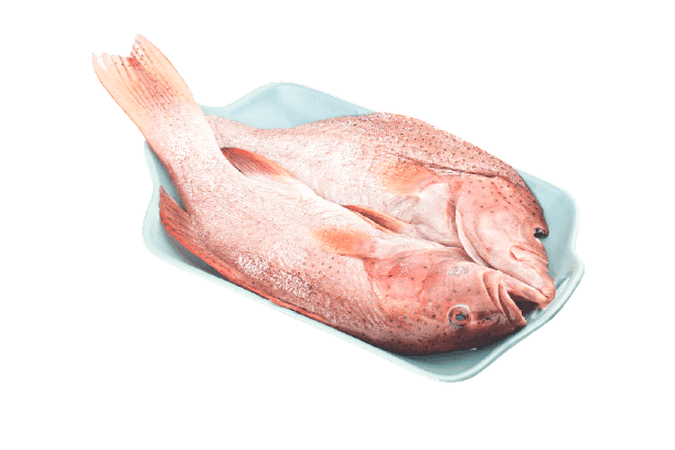 Grouper fish 1kg
