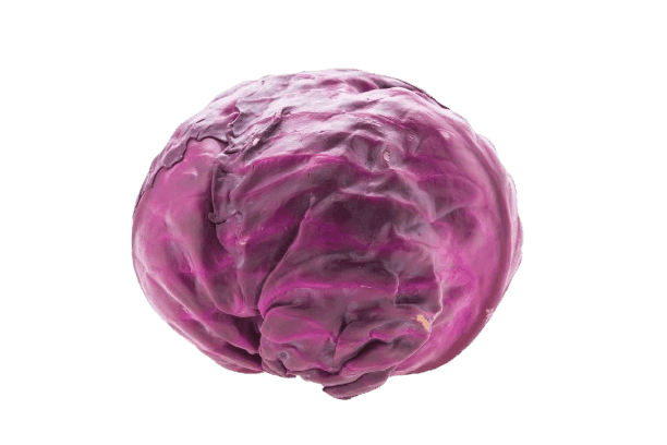 purple-cabbage2.png